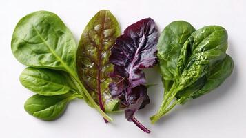 Three different types of spinach are shown on a white surface photo