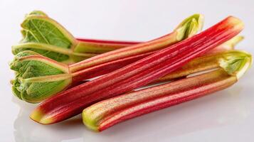 A bunch of rhubarb on a white surface photo
