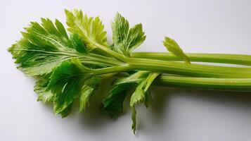 A celery plant on a white surface photo