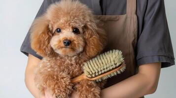 A woman holding a dog with a brush photo
