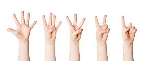 Set of child hands showing figures, count one, two, three, four, five. Isolated at white background photo