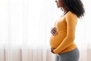 Black expecting lady looking at copy space while standing next to window at home. Smiling african american pregnant woman hugging her big tummy and looking at space for advertisement, side view photo