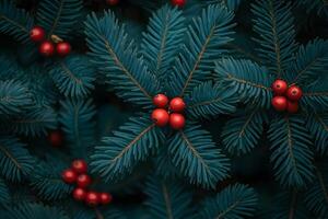 Festive Holiday Evergreen Spruce with Vibrant Red Berries - Nature Background for Christmas Design photo