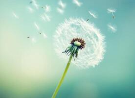 Dandelion seeds floating in a gentle breeze on a sunny day photo