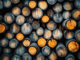 Stacked logs with distinct textures in a rustic setting photo