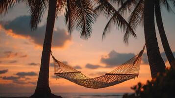 Hammock strung between palm trees in the tropics, perfect place to unwind while on vacation photo