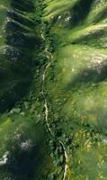 Scenic aerial view capturing a winding path through a lush green valley with scattered yellow flowers photo