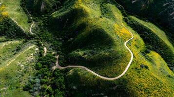 Scenic aerial view of a winding dirt path through lush green hills covered in wildflowers photo