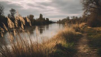 Quiet morning by the river with reeds and pathway under a cloudy sky offering a peaceful scene photo