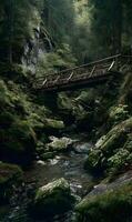 Mystical woodland stream with old wooden bridge captured in soothing natural light photo
