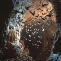 Bats flying in cave with stalactites and stalagmites photo