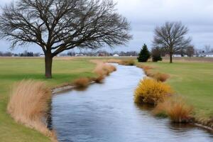 Stream flowing through green fields in early spring photo