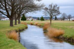 Small river flowing through a green field in the countryside photo