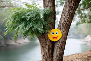 Yellow smiley face hanging on a tree trunk near a river photo