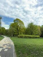 Vertical view of landscaped city park with winding tiled path, trimmed hedges, and lush green trees under dramatic sky. Ideal public space for walking, leisure, and nature appreciation photo