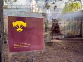 Warning sign on a zoo enclosure window asks visitors to avoid flash photography to prevent stress in animals, featuring a cute raccoon illustration and multilingual text photo