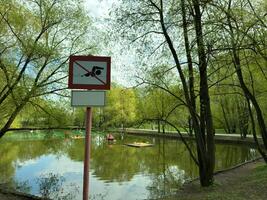 Warning sign by scenic pond in public park prohibiting swimming. The calm water reflects the surrounding trees, and area features pedal boats and small island for ducks photo