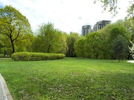 Urban park with green lawn, bushes, and trees. Modern high rise buildings under construction visible in the background. Calm open space blending nature and contemporary cityscape photo