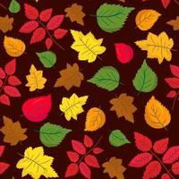 seamless pattern with colorful autumn leaves dark brown background, fall foliage design, repeating autumnal leaf illustration vector