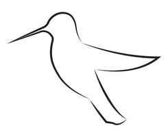 Abstract Thin Hummingbird Outline Illustration vector