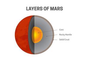 Layers of Mars - Core, Rocky Mantle and Solid Crust Infographic Illustration vector