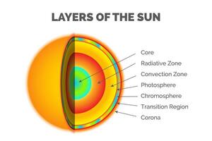 Layers of the Sun - Core, Radiative Zone, Convection Zone, Photosphere, Chromosphere, Transition Region, Corona Layer Infographic Illustration vector