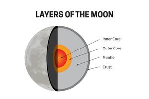Layers of the Moon - Inner Core, Outer Core, Mantle and Crust Infographic Illustration vector