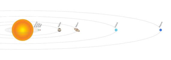 Solar System Illustration with Planets Realistic Distance from the Sun. Planets Rotating Around the Sun. vector