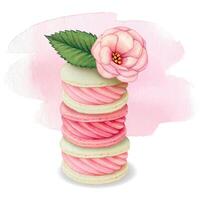 Watercolor hand drawn realistic macaron stack with camellia vector