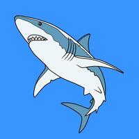 Majestic Shark in Blue Ocean vector