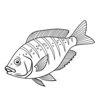 Detailed Outline Drawing of a Striped Fish with Distinctive Patterns vector
