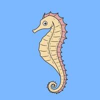 Colorful Sea Cucumber in the Ocean vector
