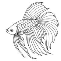 Detailed Black-and-White Line Drawing of a Betta Fish with Elaborate Fins vector