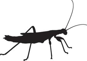 Silhouette of a grasshopper on a white background vector