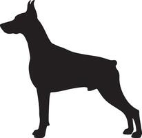 A silhouette of a doberman dog vector