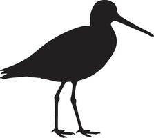 Black silhouette of a bird standing on a white background vector
