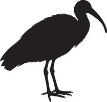 Silhouette of a bird standing on a white background vector