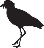 A silhouette of a bird standing on its legs vector