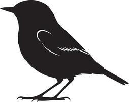Black silhouette of a bird on a white background vector