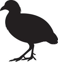 Silhouette of a bird on a white background vector