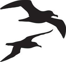 Two birds flying in the air on a white background vector