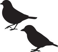 Two birds silhouettes on a white background vector
