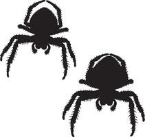 Two spiders on a white background vector
