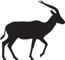 Silhouette of an antelope on a white background vector