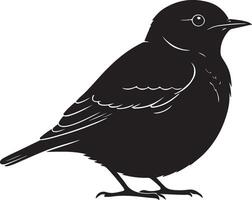 Black bird silhouette on white background vector