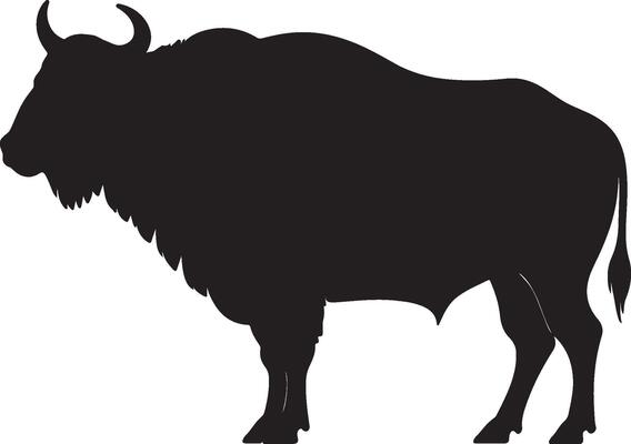 Silhouette of a bison on a white background