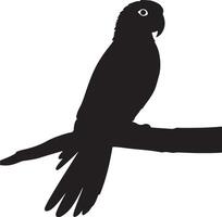 A black and white silhouette of a parrot sitting on a branch vector