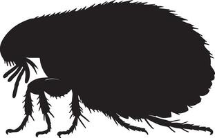 A black silhouette of a flea on a white background vector
