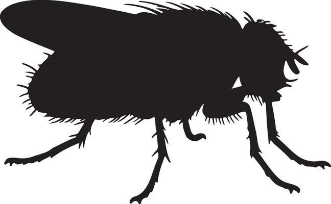A black silhouette of a fly on a white background