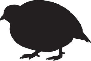 A black silhouette of a quail on a white background vector